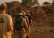 Walking through bush