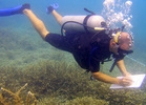 Marine Conservation, Thailand