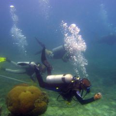 Marine Conservation, Thailand