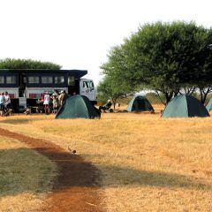 Kenya Wildlife Safari