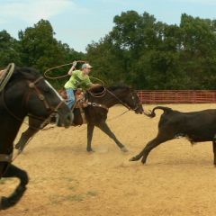 Chase