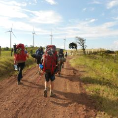 Crn11l rvd guanacaste trek (9)