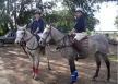 list_image for Polo Sports Experience near Buenos Aires
