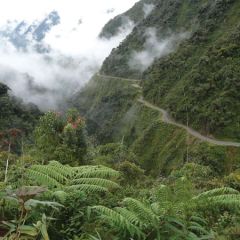 Death Road Cycle