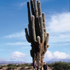 Salta, Argentina