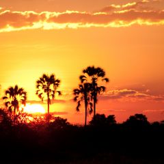 Sunset on the outskirts of Maun, Botswana.