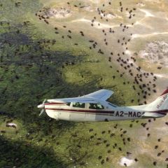 Scenic flight over the Okavango delta.
