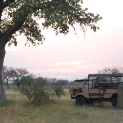 Camping out on safari through Chobe National Park.