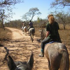 Riding through bush