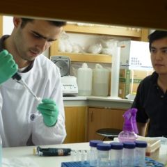 Biomedical internship