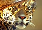 Explore Central America