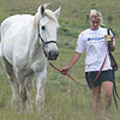 Horse Rehabilitation