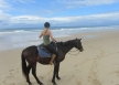 Horse Rehabilitation