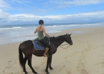 Horse Rehabilitation