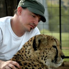 Cheetah Reintroduction