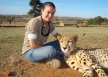 Cheetah Reintroduction
