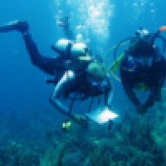 Reef Conservation