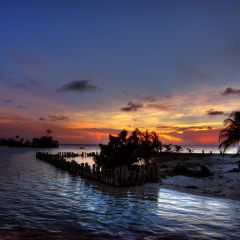Reef Conservation