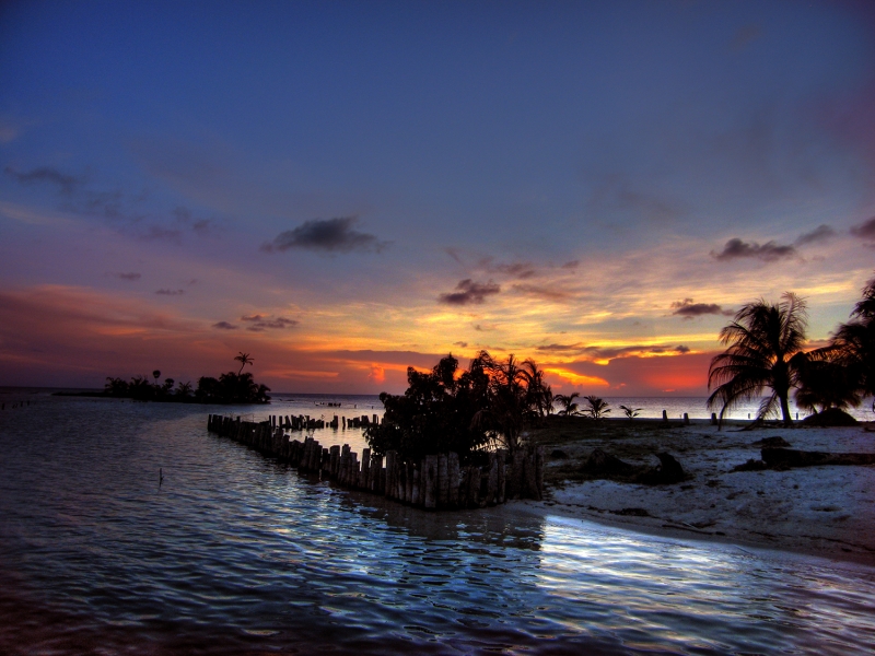 Reef Conservation