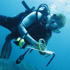 Reef Conservation