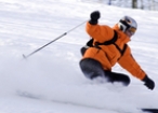list_image for Ski Instructor Qualification + German