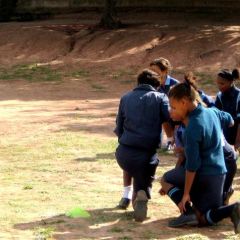 Cricket coaching