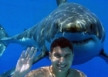 image for Gap Year Travel Insurance for Australia