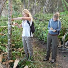 Conservation programme (8)