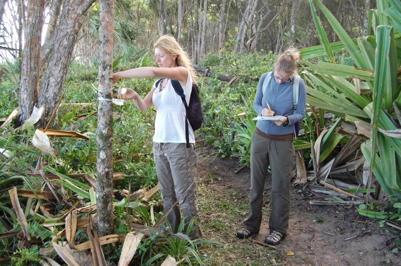 Conservation programme (8)