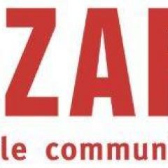 Small azafady new logo