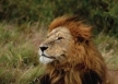 list_image for Nairobi to Vic Falls