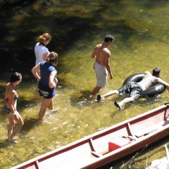 Thegreatprojectsorangutanexperience2