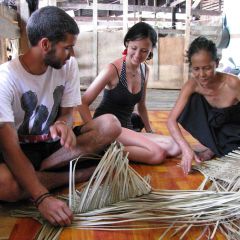 The great projects - orangutans and tribes in borneo low res