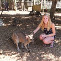Hang around with Kangaroo's like Leah during your time off