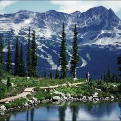 Letz Live and adventure in Canada!