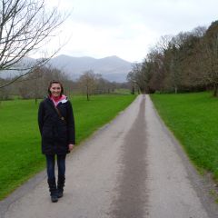 Explore the Moores with Letz Live