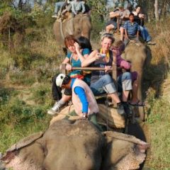 Elephant safari at Chitwan National Park