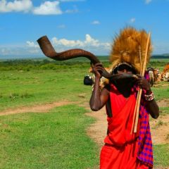 Greatafricanexpedition