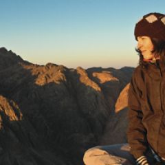 Sinai Horizons