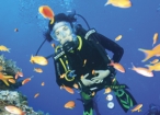 Learn to Dive - Dahab
