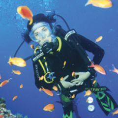Learn to Dive - Dahab