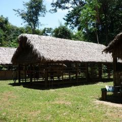 Amerindian village