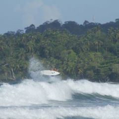 Surf