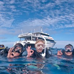 Prodive boat  divers