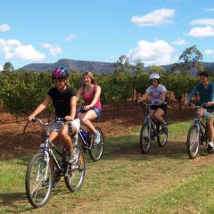Hunter valley 1
