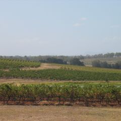 Hunter valley