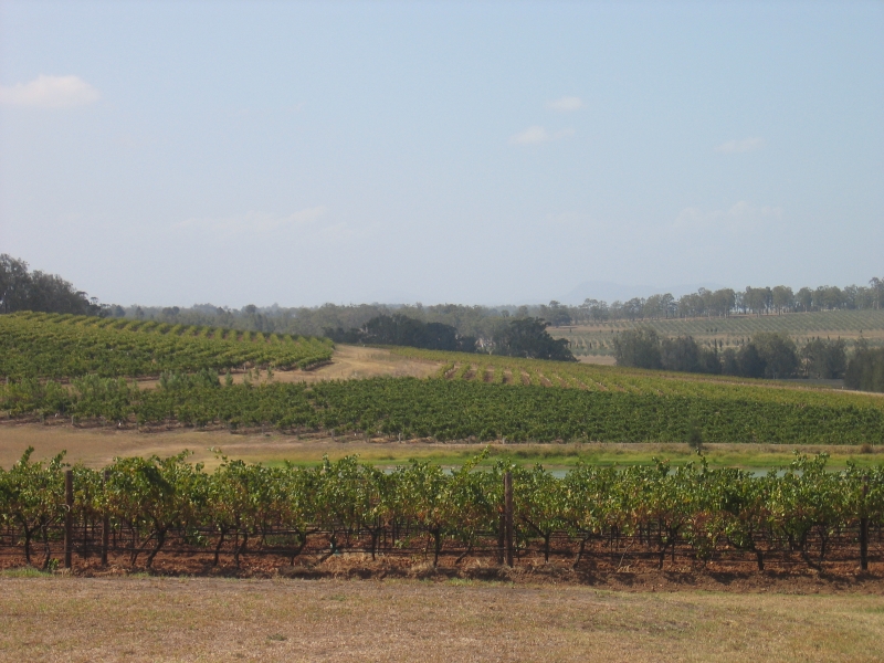 Hunter valley
