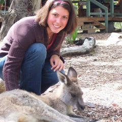 Kangaroo