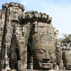 Img 0590