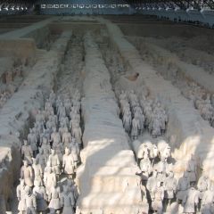 Terracotta warriors